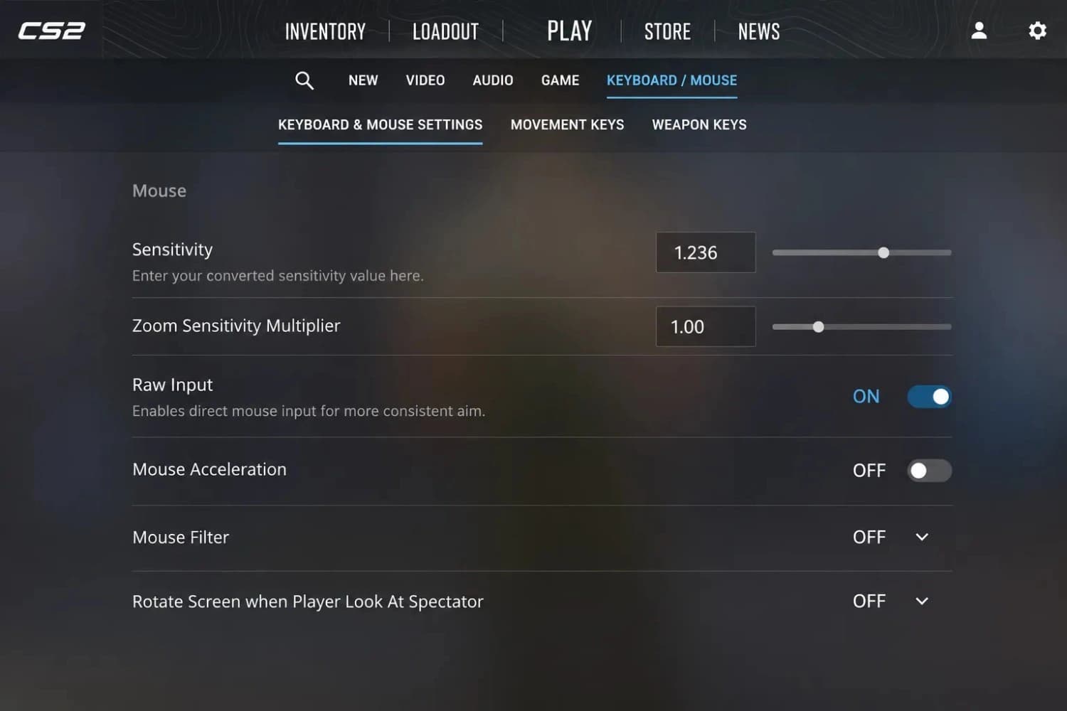 CS2 mouse settings panel showing raw input toggle enabled and sensitivity field with converted value entered